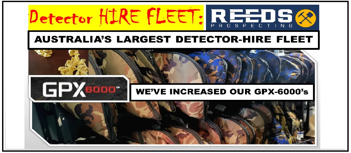 Unearth Your Next Great Adventure